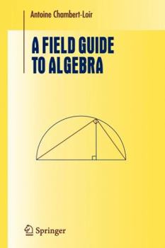 Paperback A Field Guide to Algebra (Lecture Notes in Mathematics) Book