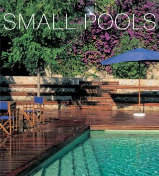 Paperback Small Pools Book