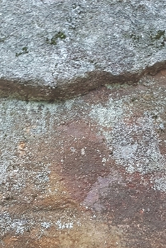 2020 Daily Planner Solid Rock Boulder Stone 388 Pages: 2020 Planners Calendars Organizers Datebooks Appointment Books Agendas