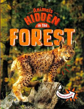 Paperback Animals Hidden in the Forest Book