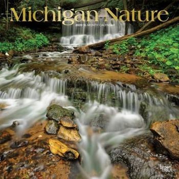 Calendar Michigan Nature 2020 Square Foil Book