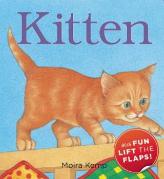 Board book Kitten Book