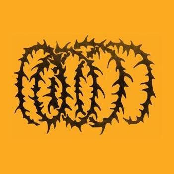 Vinyl Cartwheel Book