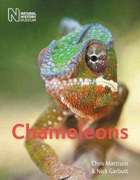 Paperback Chameleons. Christopher Mattison and Nick Garbutt Book