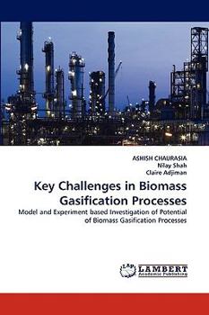 Paperback Key Challenges in Biomass Gasification Processes Book