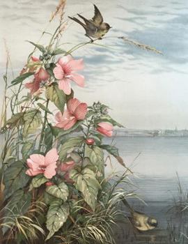 Paperback Spring Sparrows: 8.5x11 Pretty Sparrows Marsh Nature Scene College Ruled Notebook Book