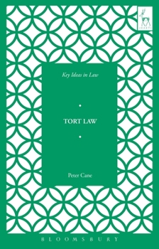 Paperback Key Ideas in Tort Law Book