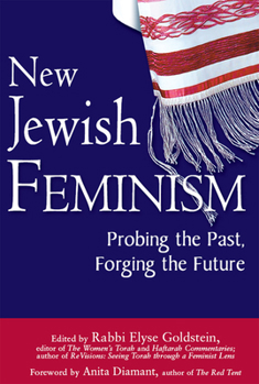 Paperback New Jewish Feminism: Probing the Past, Forging the Future Book