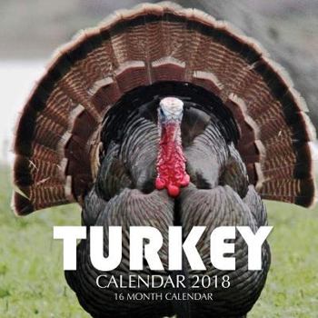 Paperback Turkey Calendar 2018: 16 Month Calendar Book