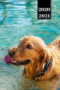 Golden Retriever Dog Calendar Week Planner 2020 / 2021 - Playing in the Water: Pup Puppy Doggie Pet Owner Weekly Bullet Journal Notebook Diary in 6” x 9” Inch Pocket Size