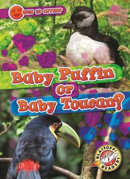 Baby Puffin or Baby Toucan? (Who Is Cuter?)