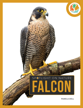 Paperback Falcon Book