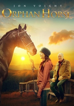 DVD Orphan Horse Book