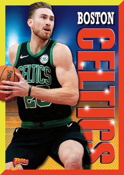 Paperback Boston Celtics Book