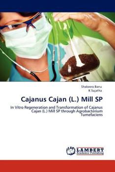 Paperback Cajanus Cajan (L.) Mill SP Book