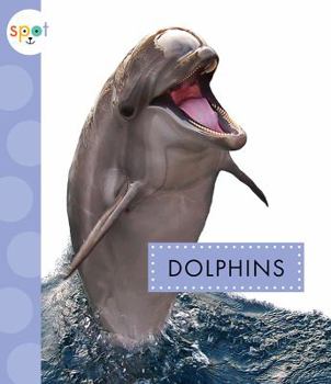 Dolphins - Book  of the Spot Ocean Animals