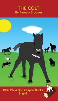 The Colt Chapter Book: Sound-Out Phonics Books Help Developing Readers, including Students with Dyslexia, Learn to Read (Step 6 in a Systematic Series of Decodable Books) (Dog on a Log Chapter Books)