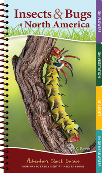 Insects & Bugs of North America: Your Way to Easily Identify Insects & Bugs - Book  of the Adventure Quick Guides