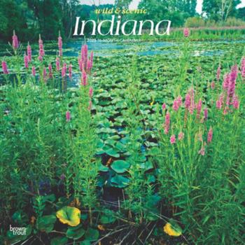 Calendar Indiana Wild & Scenic 2025 12 X 24 Inch Monthly Square Wall Calendar Plastic-Free Book