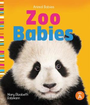 Zoo Babies, Children’s Book About Young Zoo Animals, Lexile 80L