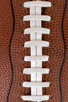 2020 Daily Planner Football Player Coach Team Sports Fan 388 Pages: 2020 Planners Calendars Organizers Datebooks Appointment Books Agendas