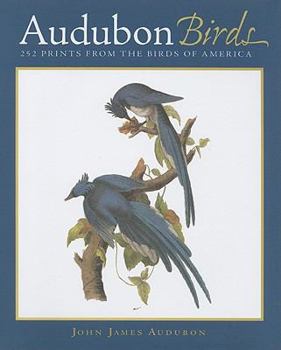 Hardcover Audubon Birds: 252 Prints from the Birds of America Book