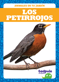 Paperback Los Petirrojos (Robins) Book