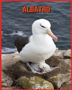 Albatro: Fatti divertenti e foto incredibili degli animali nella natura