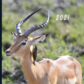 2021: Monthly Photo Calendar | January 2021 - December 2021 | Monthly Calendar with U.S./UK/ Canadian/Christian/Jewish/Muslim Holidays | Impala Photo Calendar
