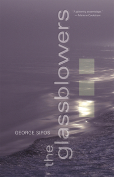 Paperback The Glassblowers Book