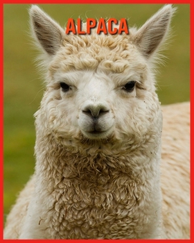 Alpaca: Immagini stupende e fatti divertenti sugli animali della natura