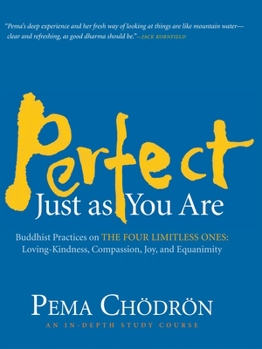Audio CD Perfect Just as You Are: Buddhist Practices on the Four Limitless Ones: Loving-Kindness, Compassion, Joy, and Equanimity Book