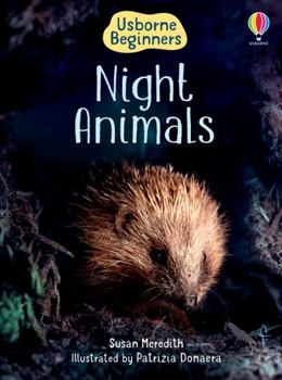 Hardcover Night Animals Book