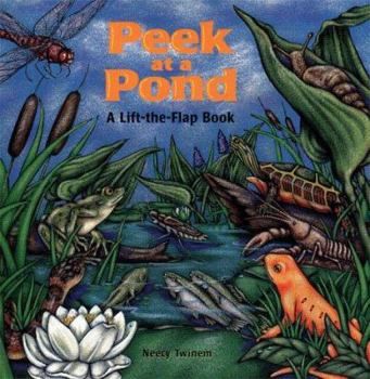 Paperback Peek at a Pond Book