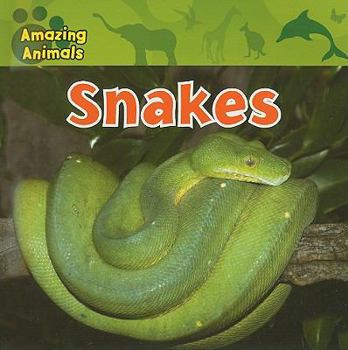 Snakes - Book  of the Amazing Animals