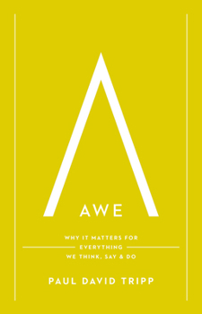 Hardcover Awe: Why It Matters for Everything We Think, Say, and Do Book