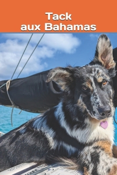Paperback Tack aux Bahamas: Tome 5 [French] Book