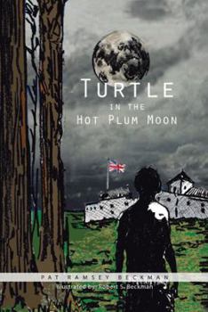 Paperback Turtle in the Hot Plum Moon Book