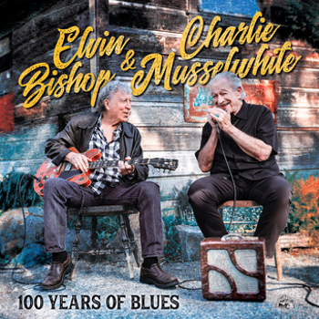 Vinyl 100 Years Of Blues Book
