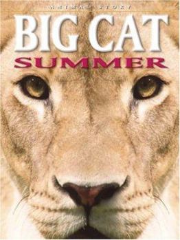Paperback Big Cat Summer Book