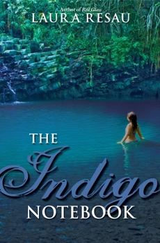 Paperback The Indigo Notebook Book