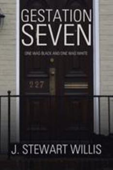 Gestation Seven: One Was Black and One Was White