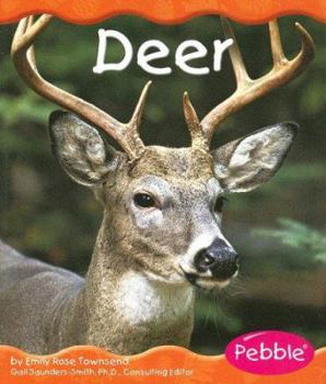 Paperback White-Tailed Deer Book