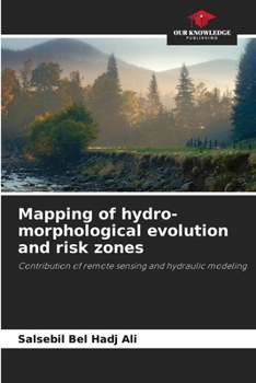 Paperback Mapping of hydro-morphological evolution and risk zones Book