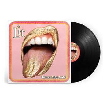 Vinyl Tastes Like Gold Book