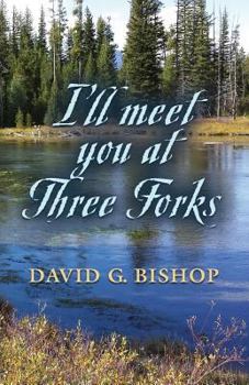 Paperback I'll Meet You at Three Forks Book