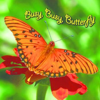 Board book Busy, Busy Butterfly Book