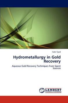 Paperback Hydrometallurgy in Gold Recovery Book