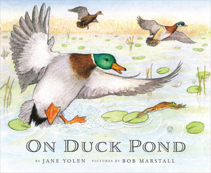 Hardcover On Duck Pond Book