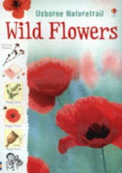 Paperback Wild Flowers. Sarah Khan and Kirsteen Rogers Book